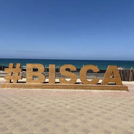 Spacieuse Proche Plage, 8 Pers. - Fr-1-831-3 Biscarrosse