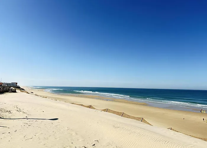 Spacieuse Proche Plage, 8 Pers. - Fr-1-831-3 Ferienhaus Biscarrosse