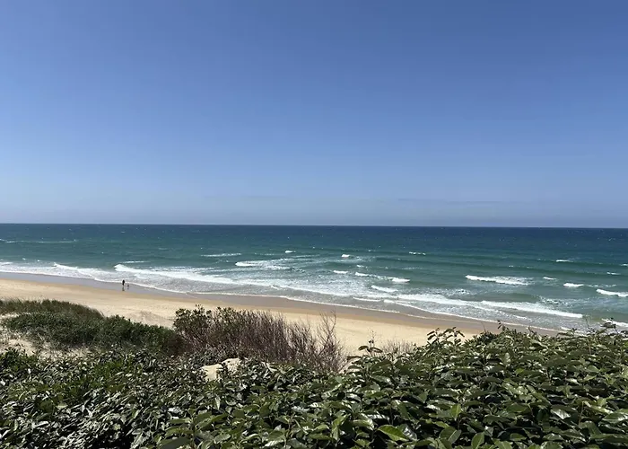 Ferienhaus Spacieuse Proche Plage, 8 Pers. - Fr-1-831-3 Biscarrosse