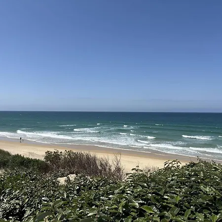 Nyaraló Spacieuse Proche Plage, 8 Pers. - Fr-1-831-3 Biscarrosse